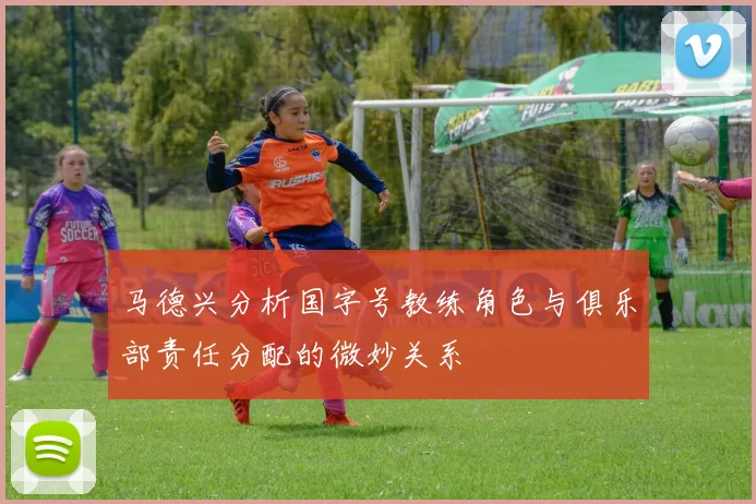 马德兴分析国字号教练角色与俱乐部责任分配的微妙关系