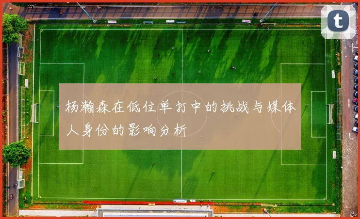 杨瀚森在低位单打中的挑战与媒体人身份的影响分析