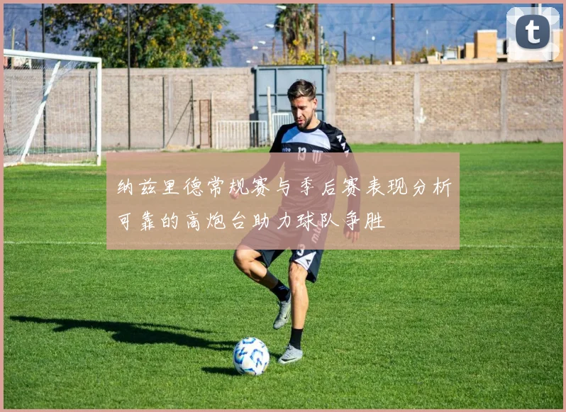 纳兹里德常规赛与季后赛表现分析可靠的高炮台助力球队争胜