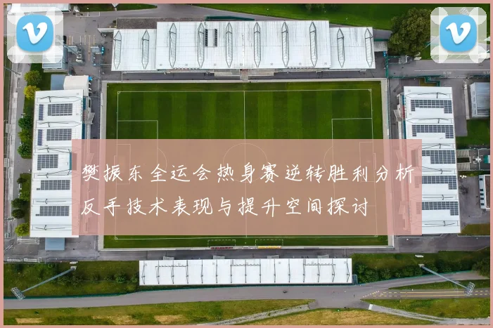樊振东全运会热身赛逆转胜利分析反手技术表现与提升空间探讨